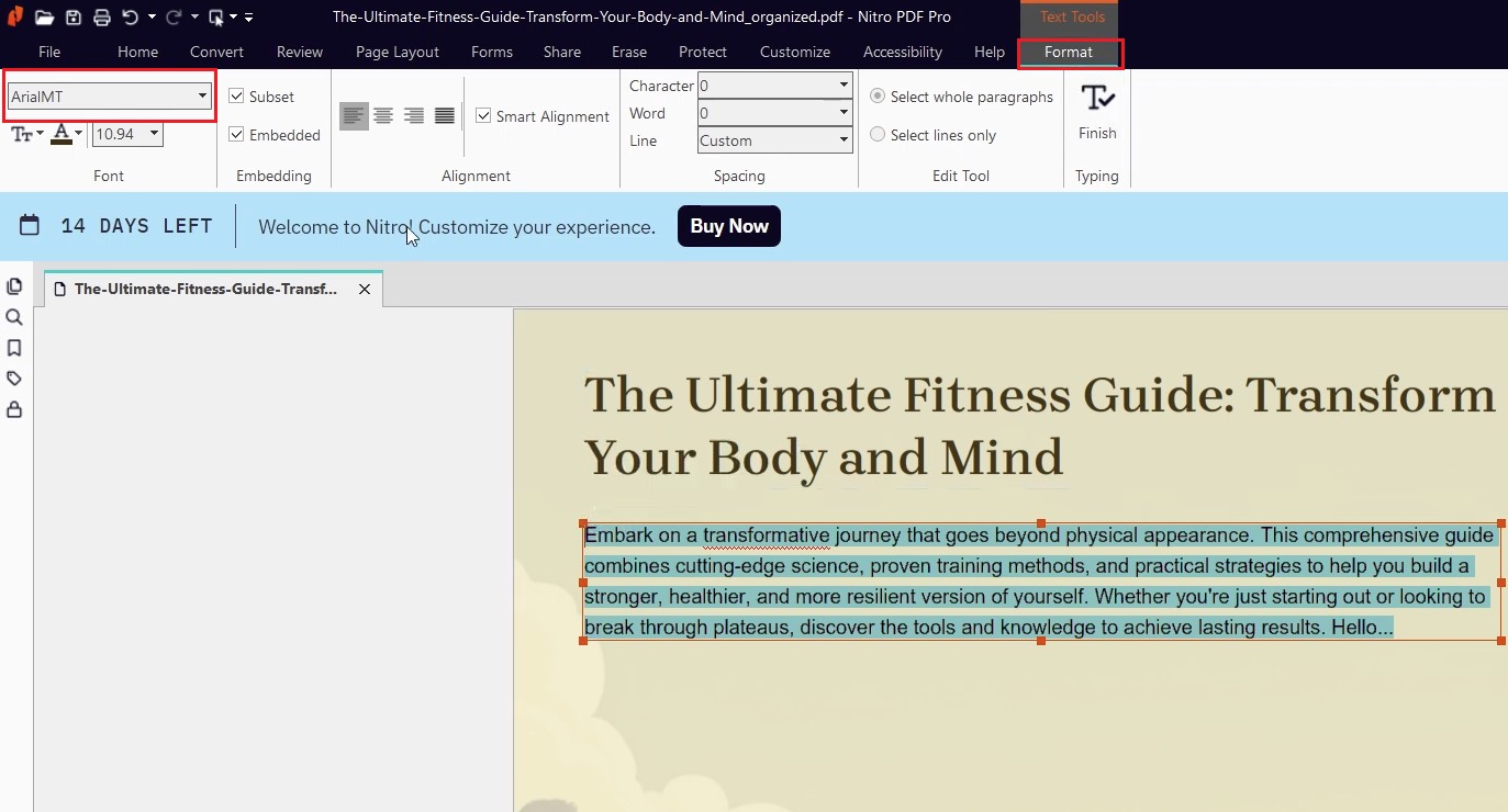 nitro pdf pro change font