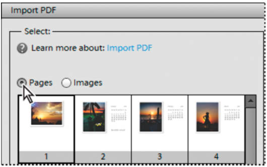 photoshop pdf 編集
