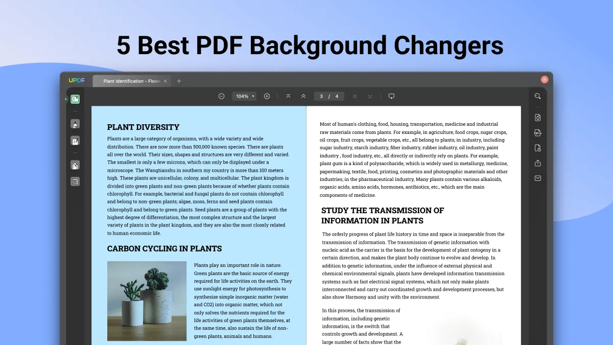 5 Best PDF Background Changers (With Comparison Table)