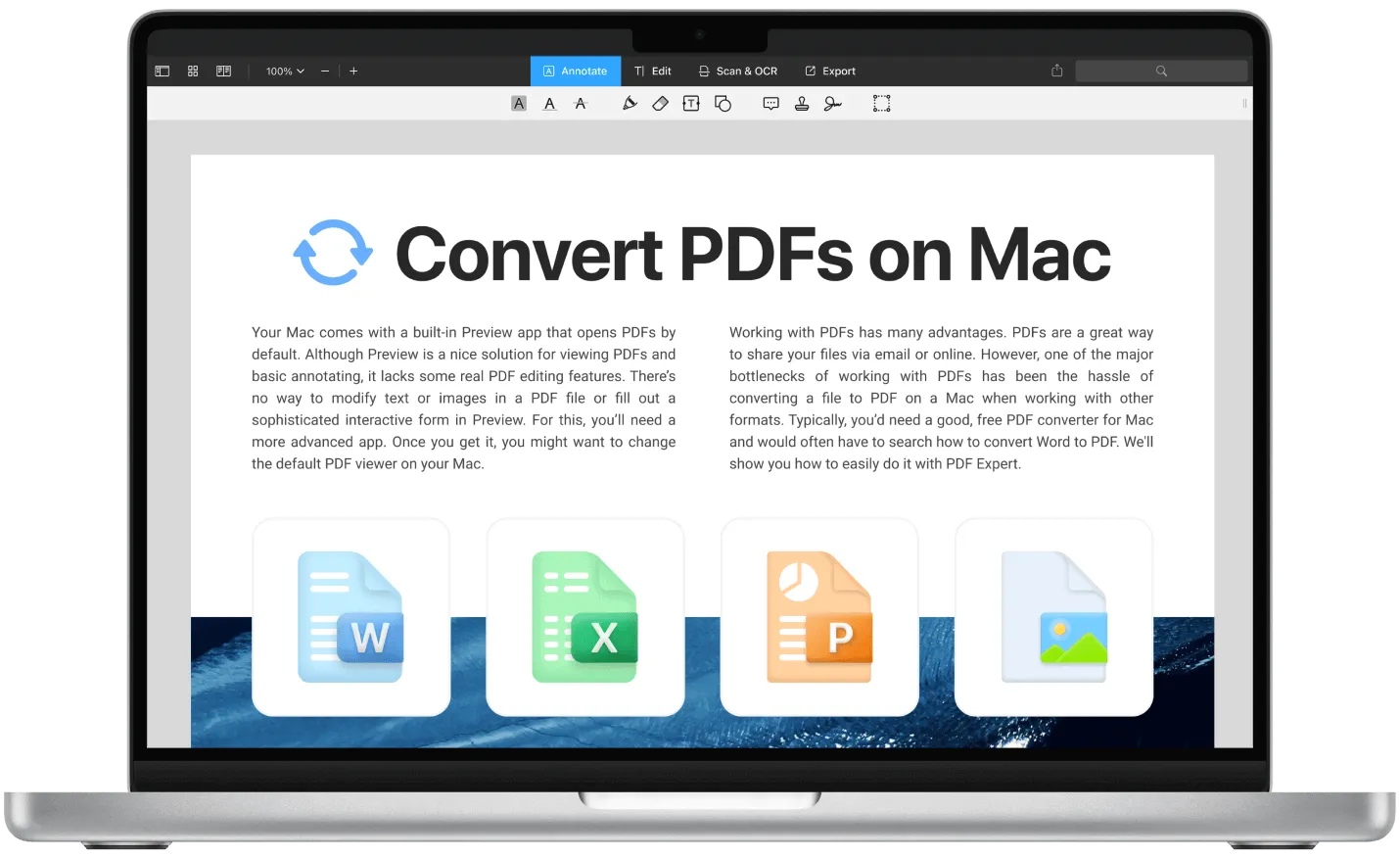 PDF expert PDF converter on mac