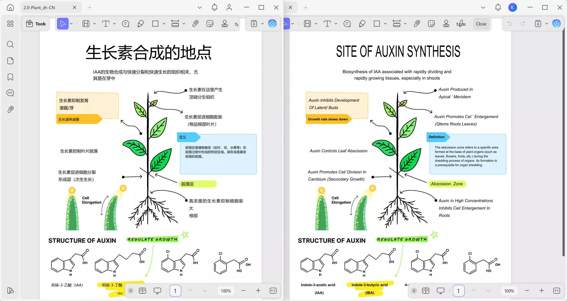 read translated pdf in updf