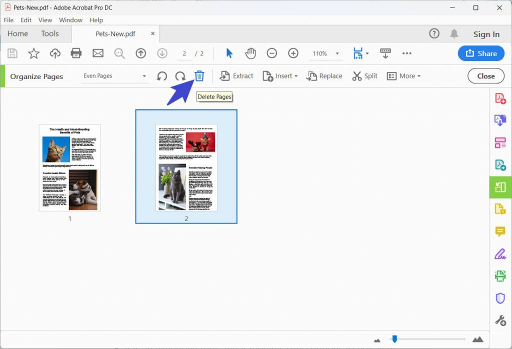 How to Remove Blank Pages from PDF [Quick & Easy] | UPDF