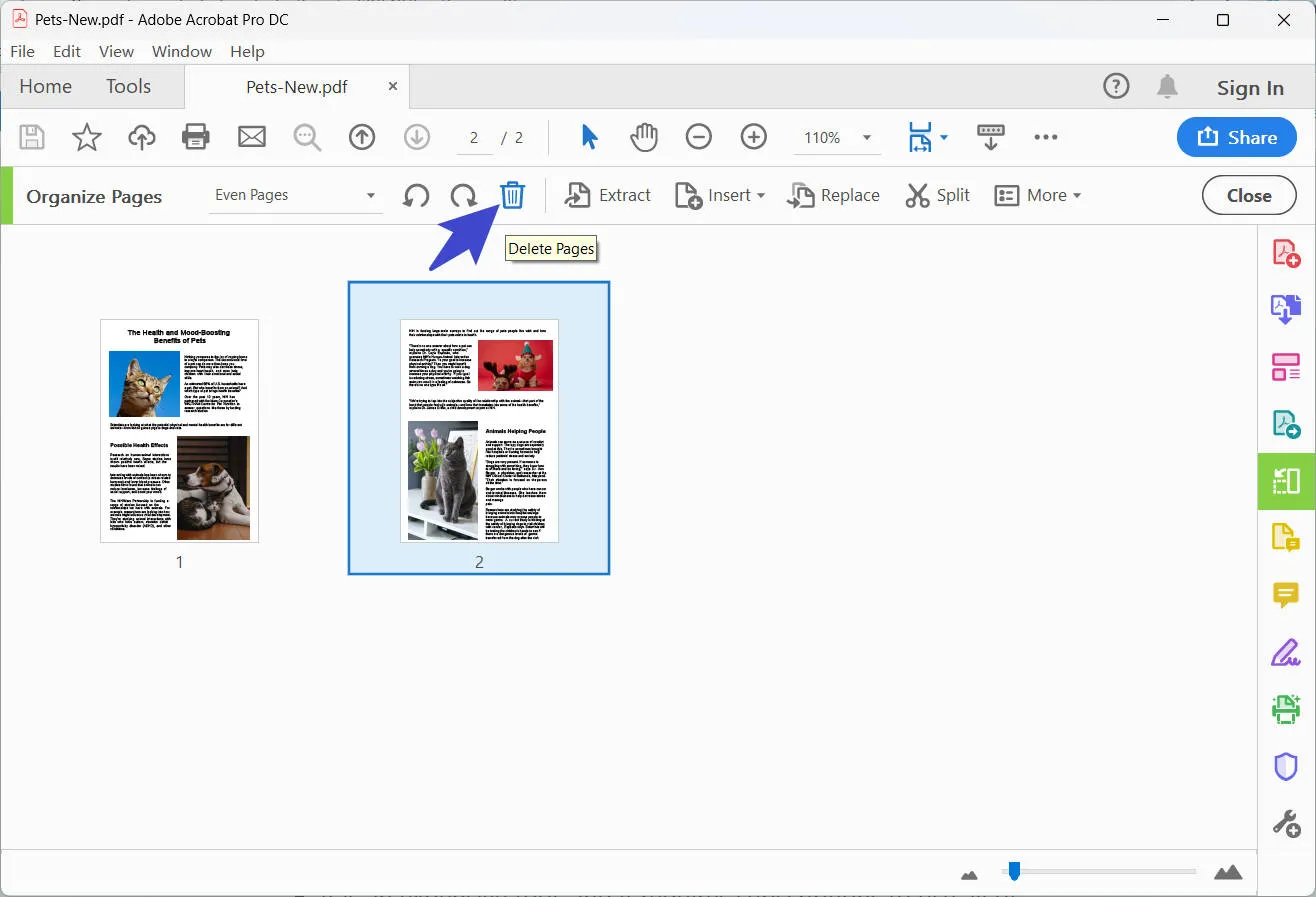 remove pages from pdf adobe acrobat