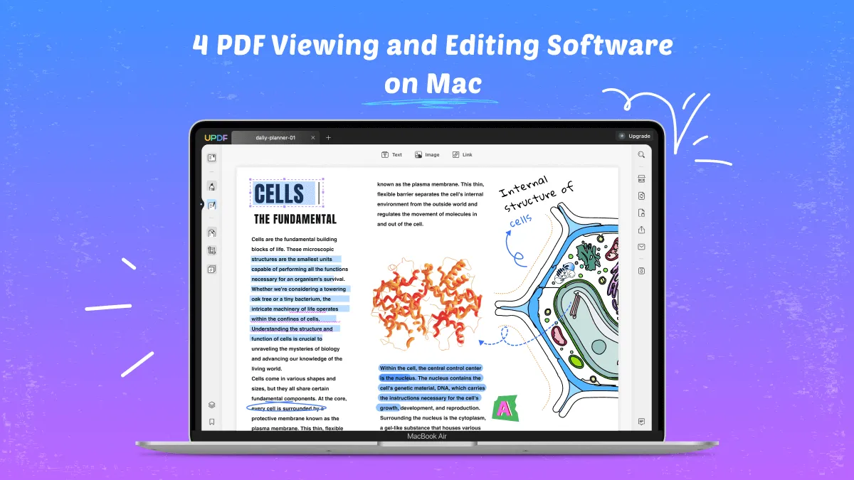 Comprehensive Review | 4 PDF Viewing and Editing Software on Mac