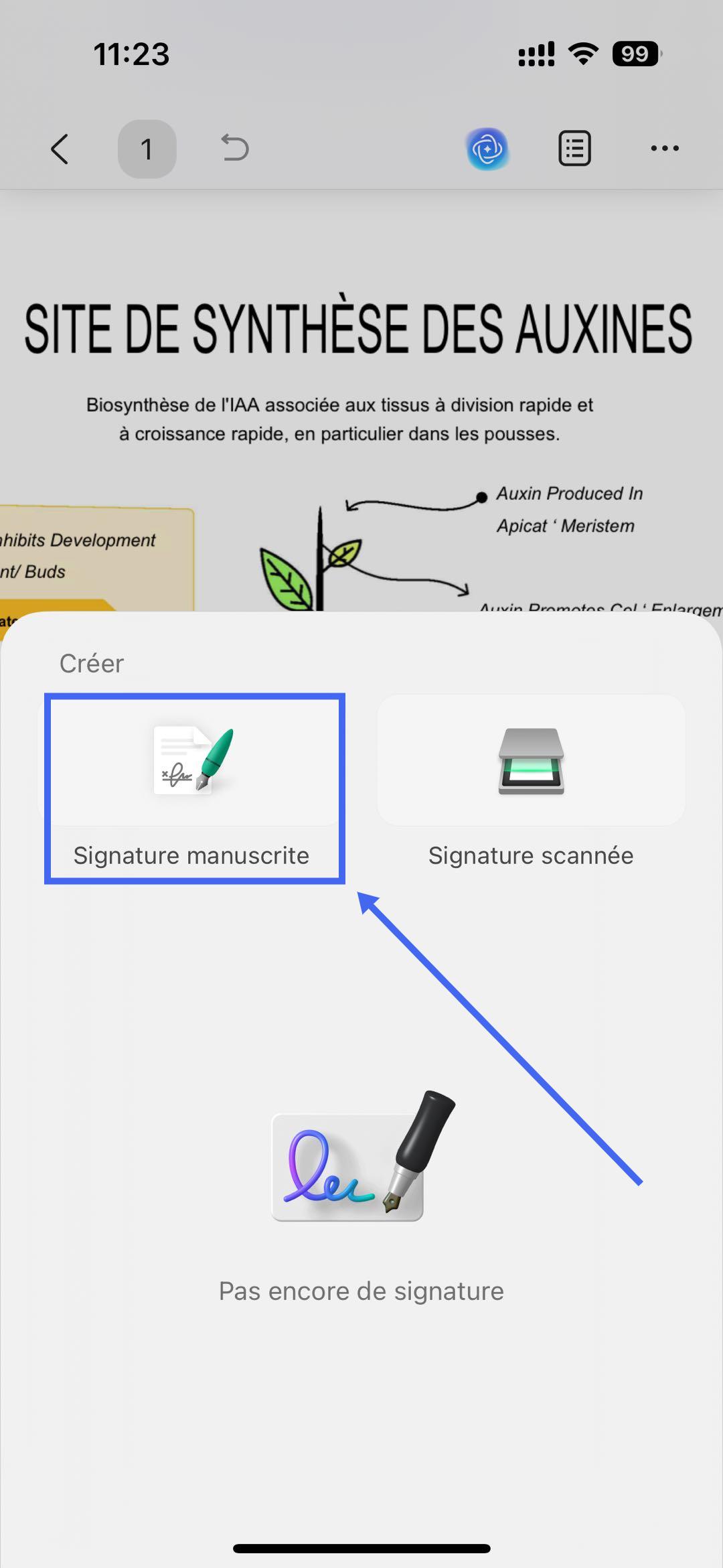 appuyez sur le bouton de signature manuscrite