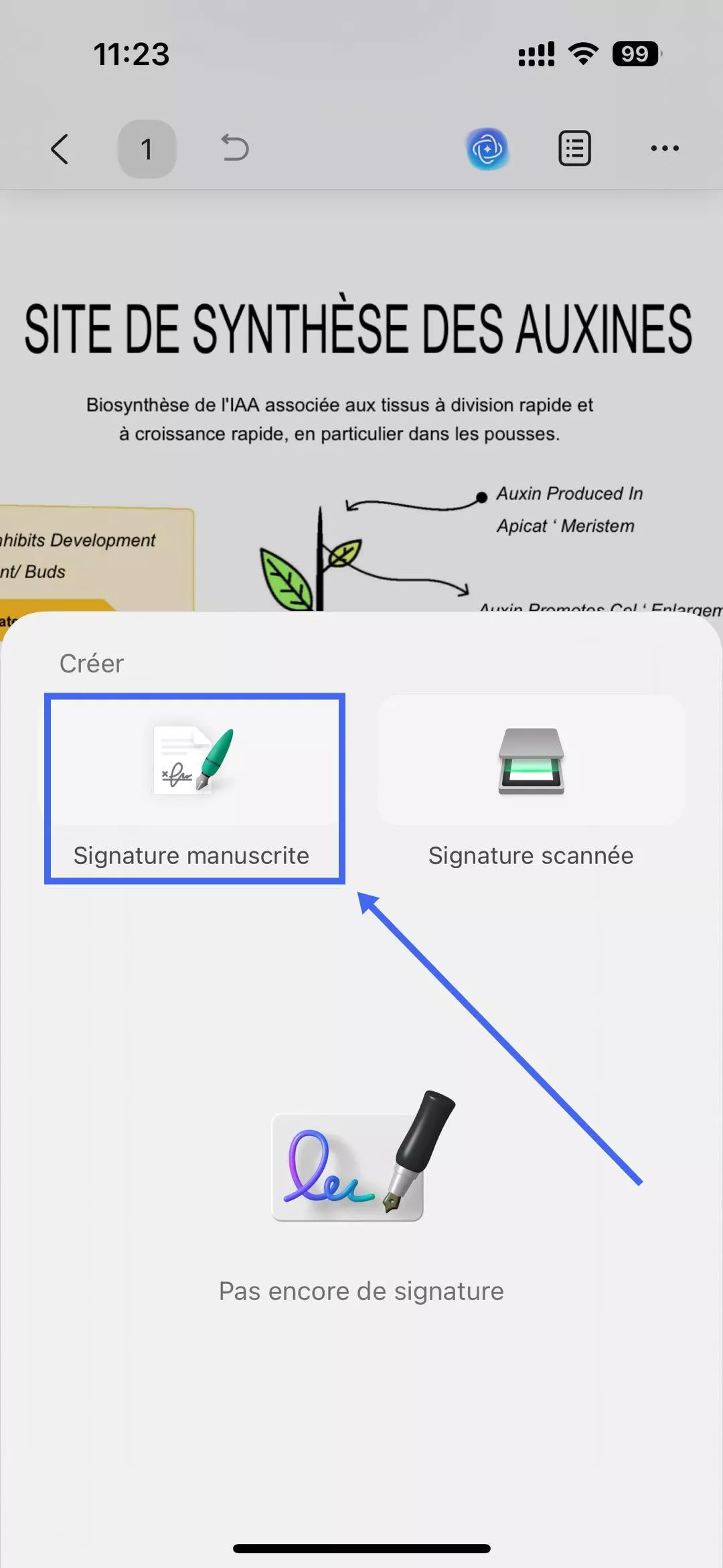 appuyez sur le bouton de signature manuscrite