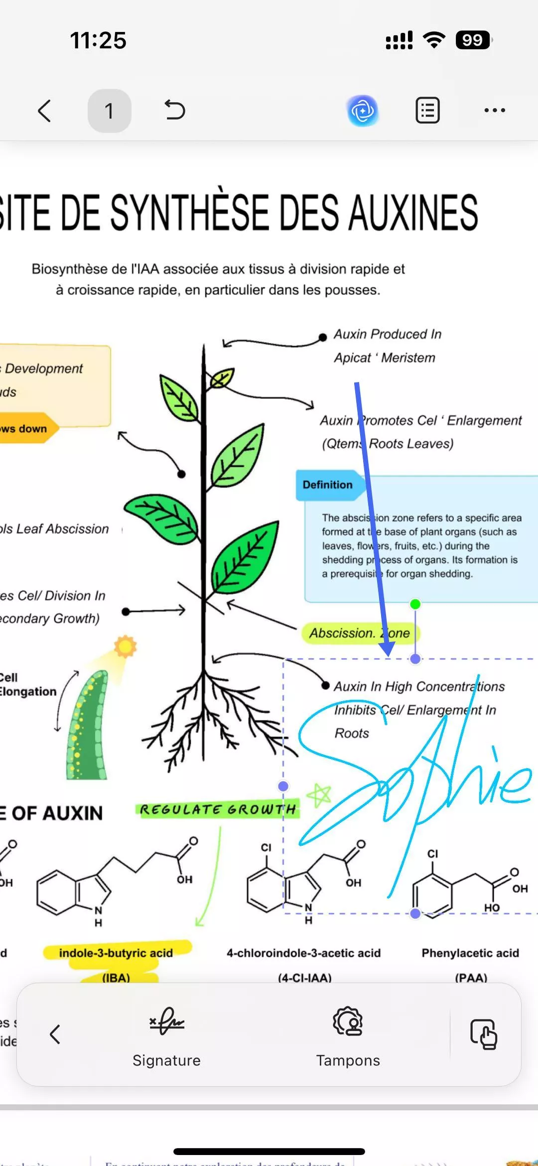 ajouter une signature