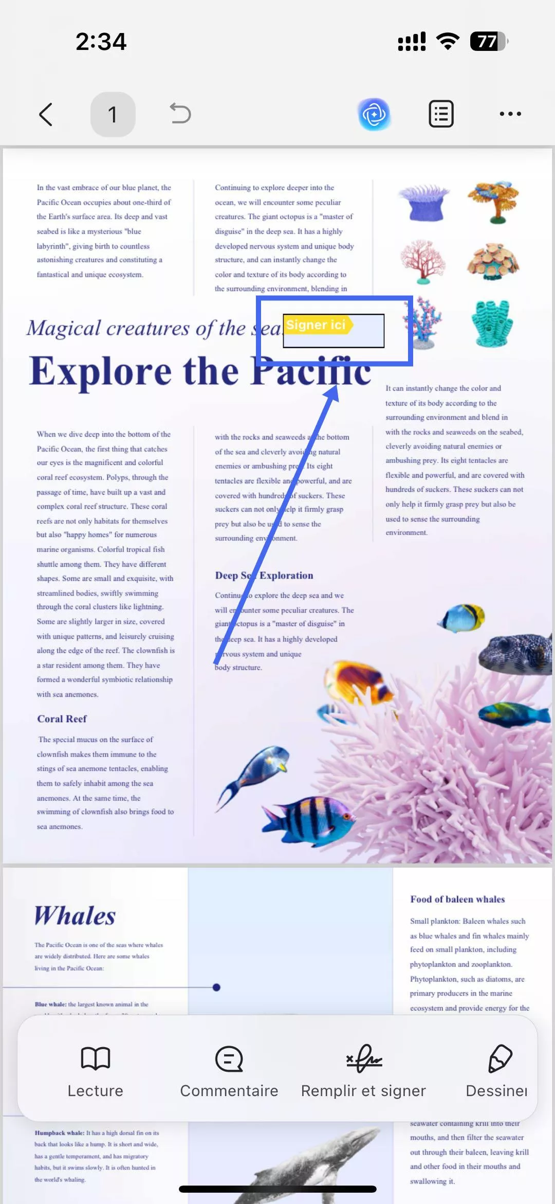 Créez ou signez directement