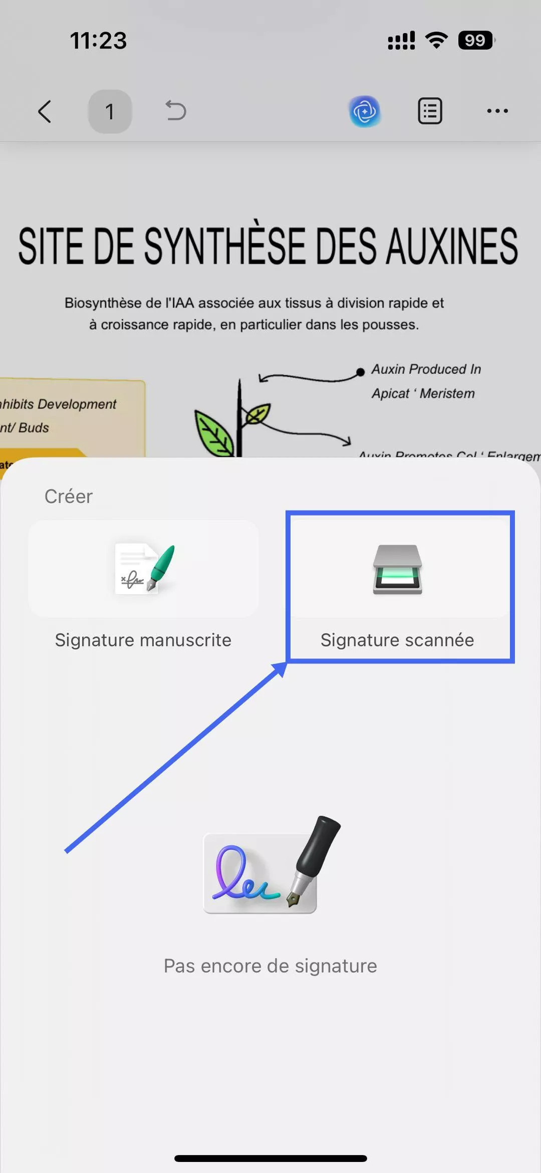 ajouter une signature