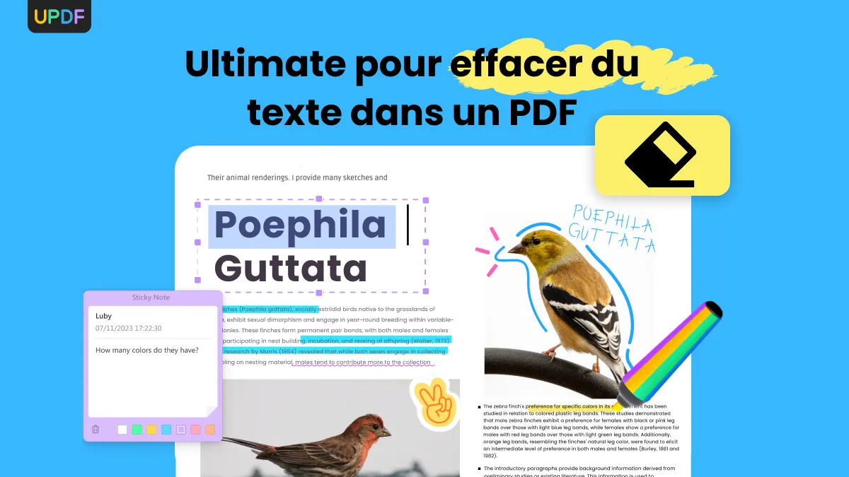 Effacer du texte dans un PDF ainsi que des images, des pages et des annotations