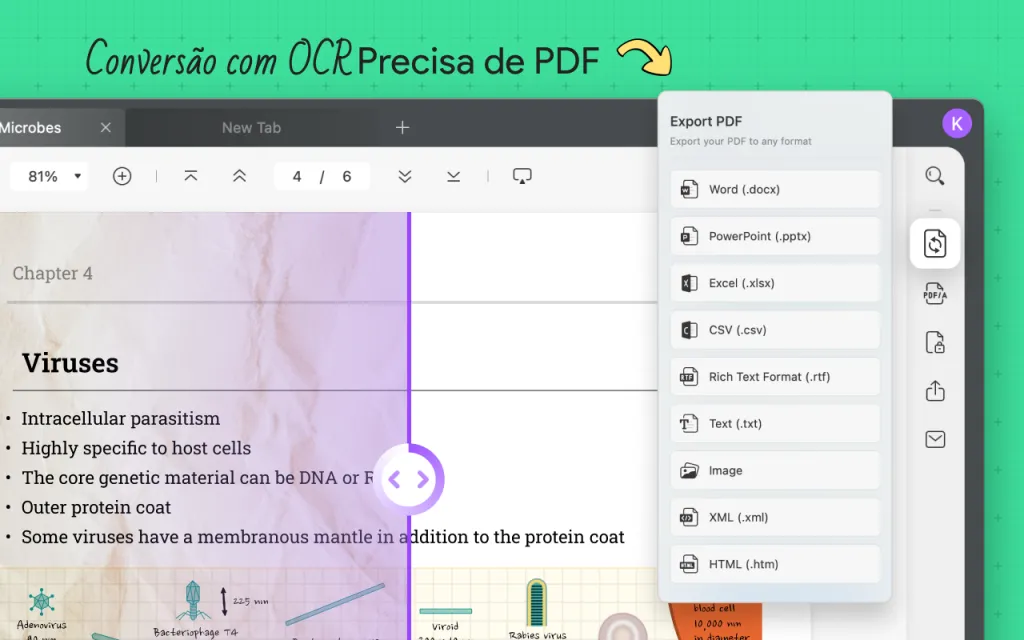 conversor de PDF para Excel