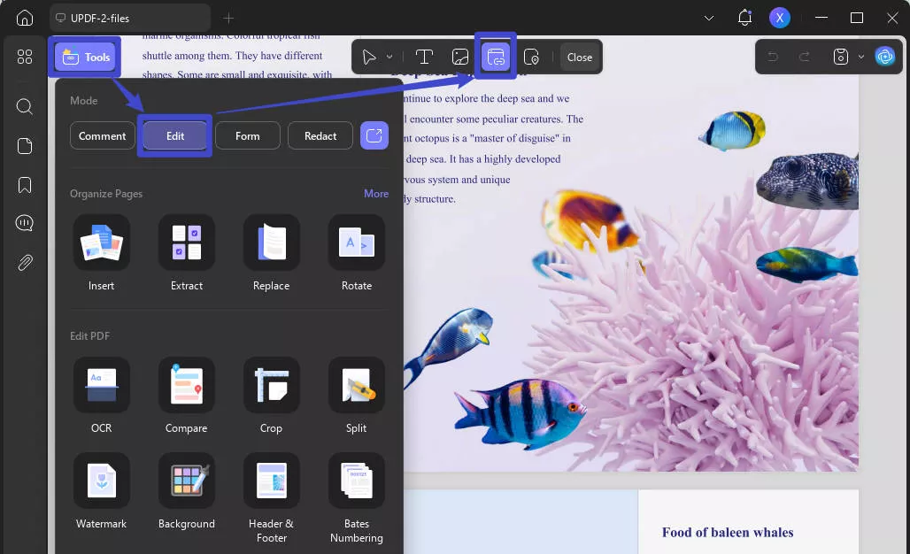 embed video in pdf