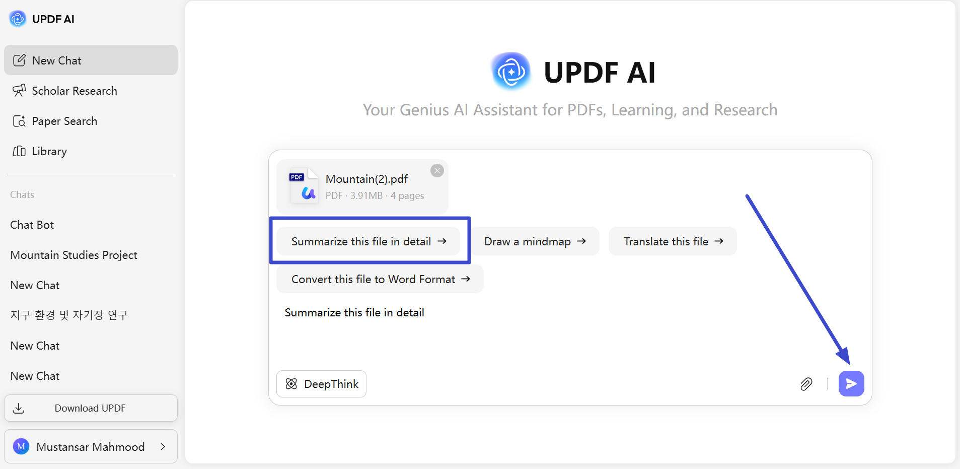 prompt ai to summarize file