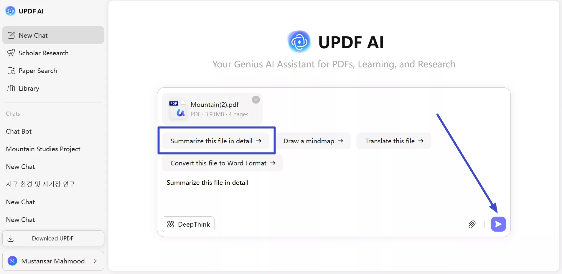 prompt ai to summarize file