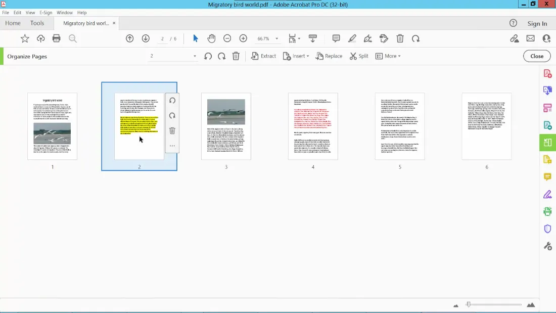 how to rotate a pdf in adobe click and rotate
