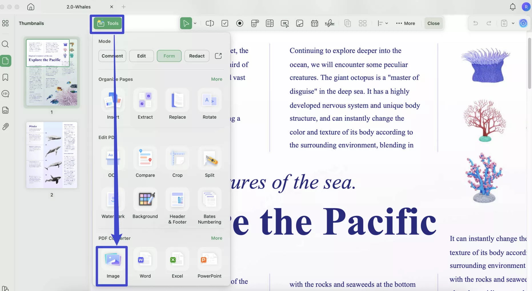 pdf image extractor mac with updf