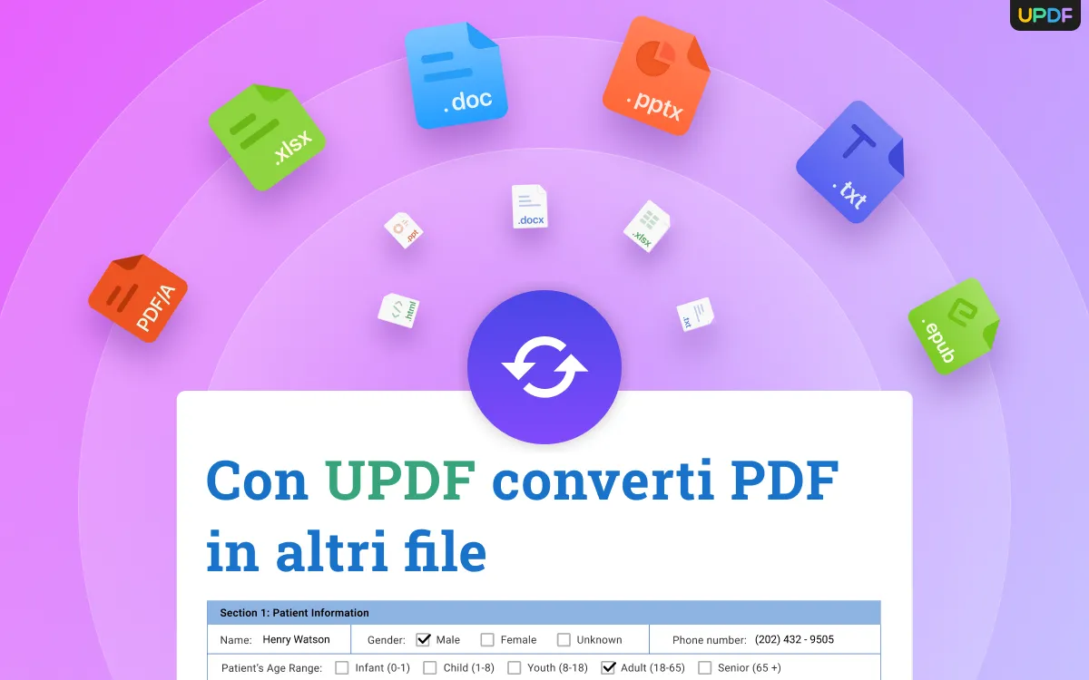 convertire un file PDF in molti altri formati come Immagini, Rich Text, XML, HTML e PDF/A