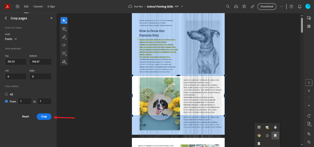 How to Crop PDF in Adobe? (Detailed Guide)