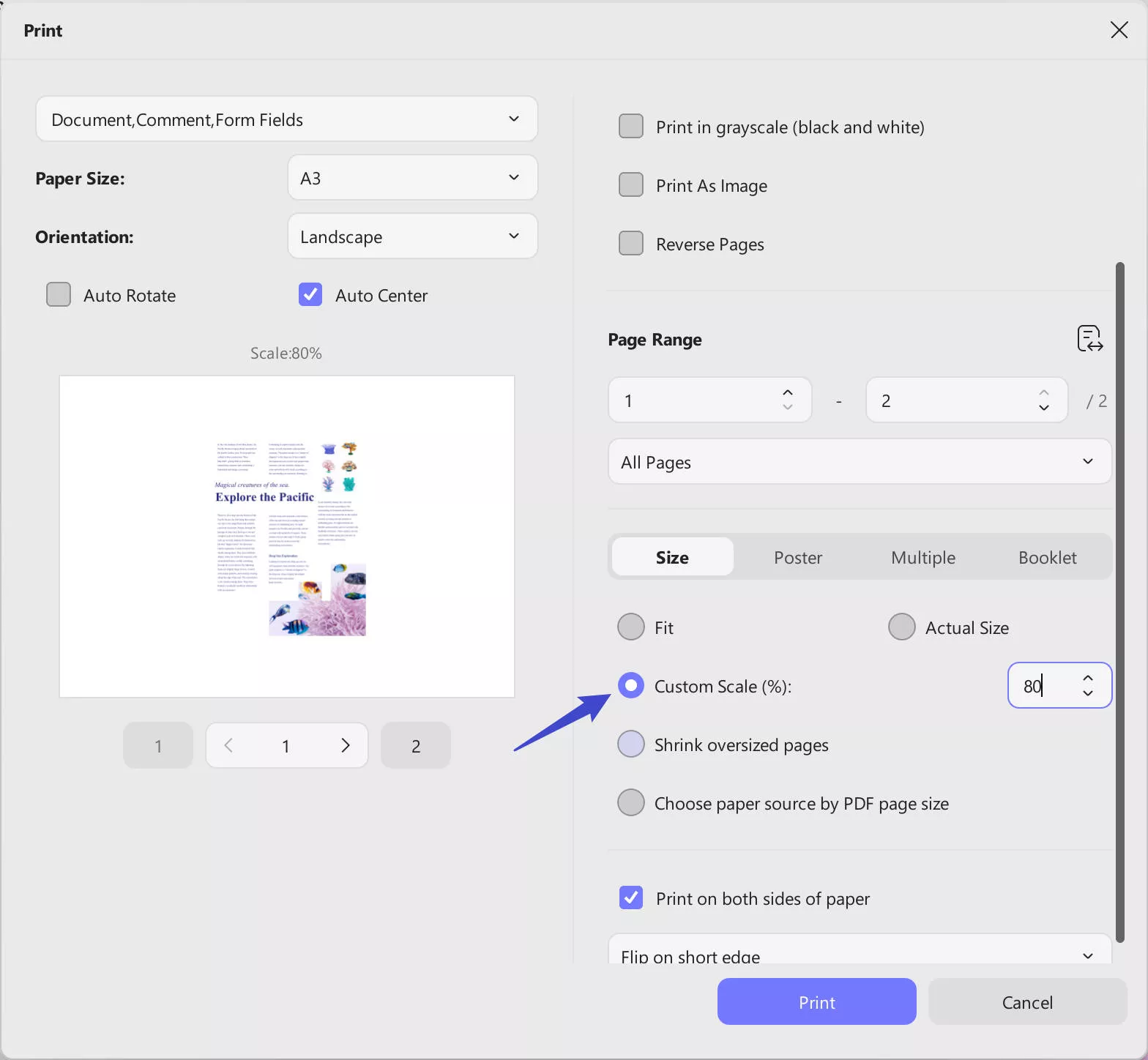 scale pdf custom page