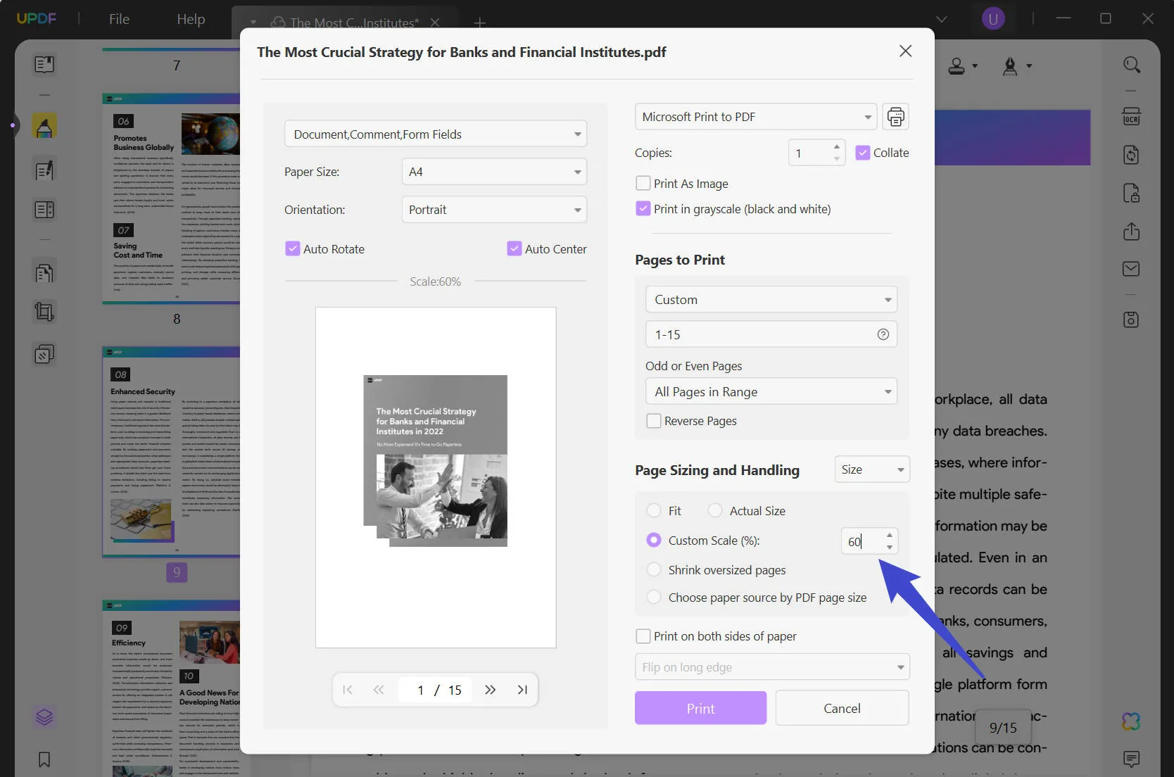 how to print a zoomed in pdf output format