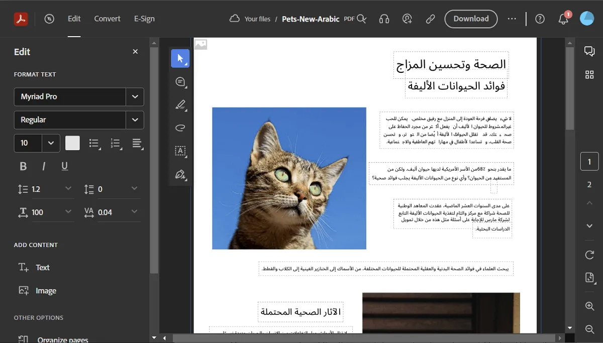 modify pdf text online with adobe