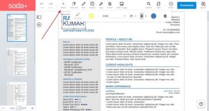 How to Edit Resume in PDF Online - Edit The Pdf Resume 2 300x159 