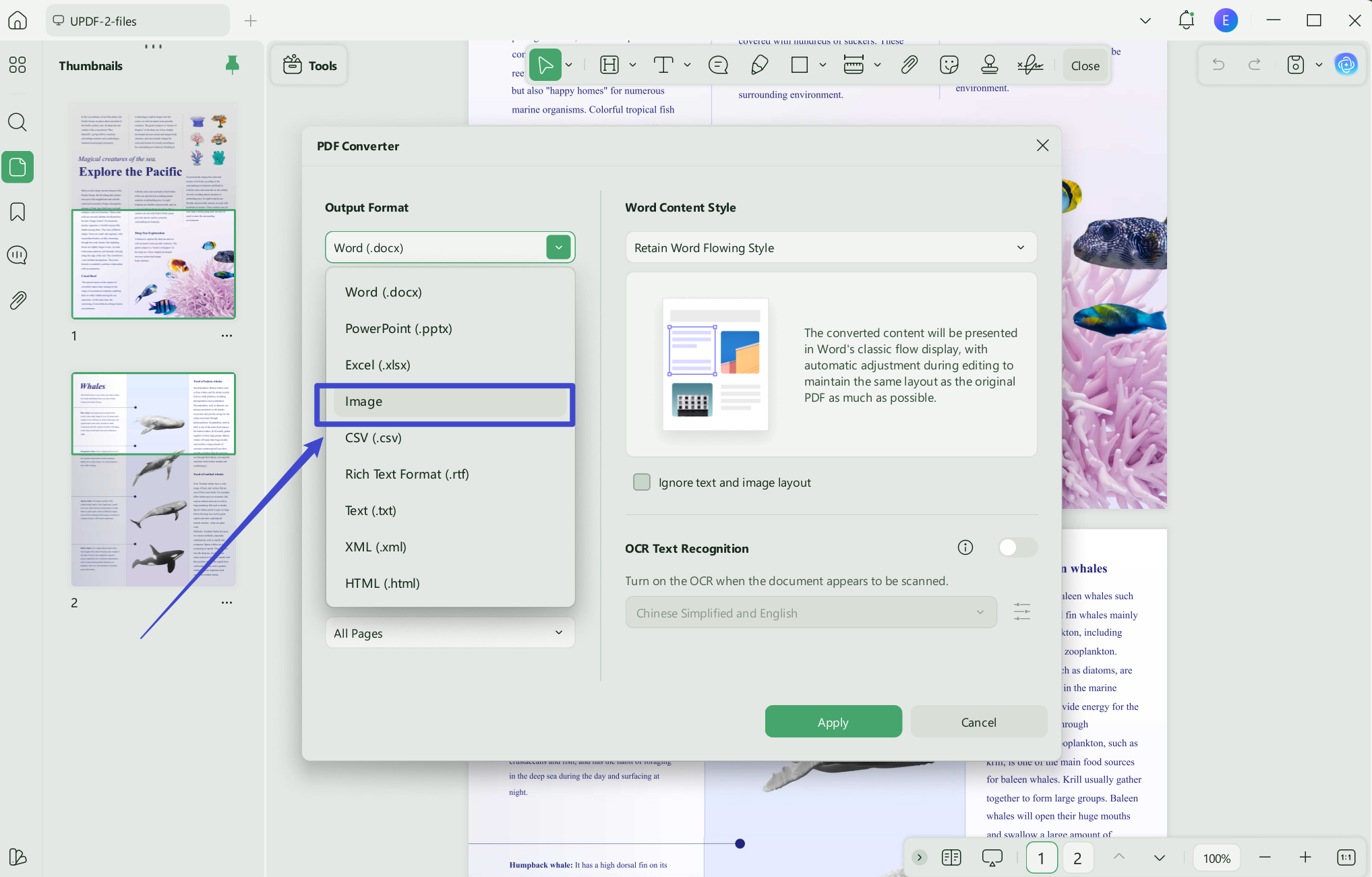 pdf to transparent png export to image