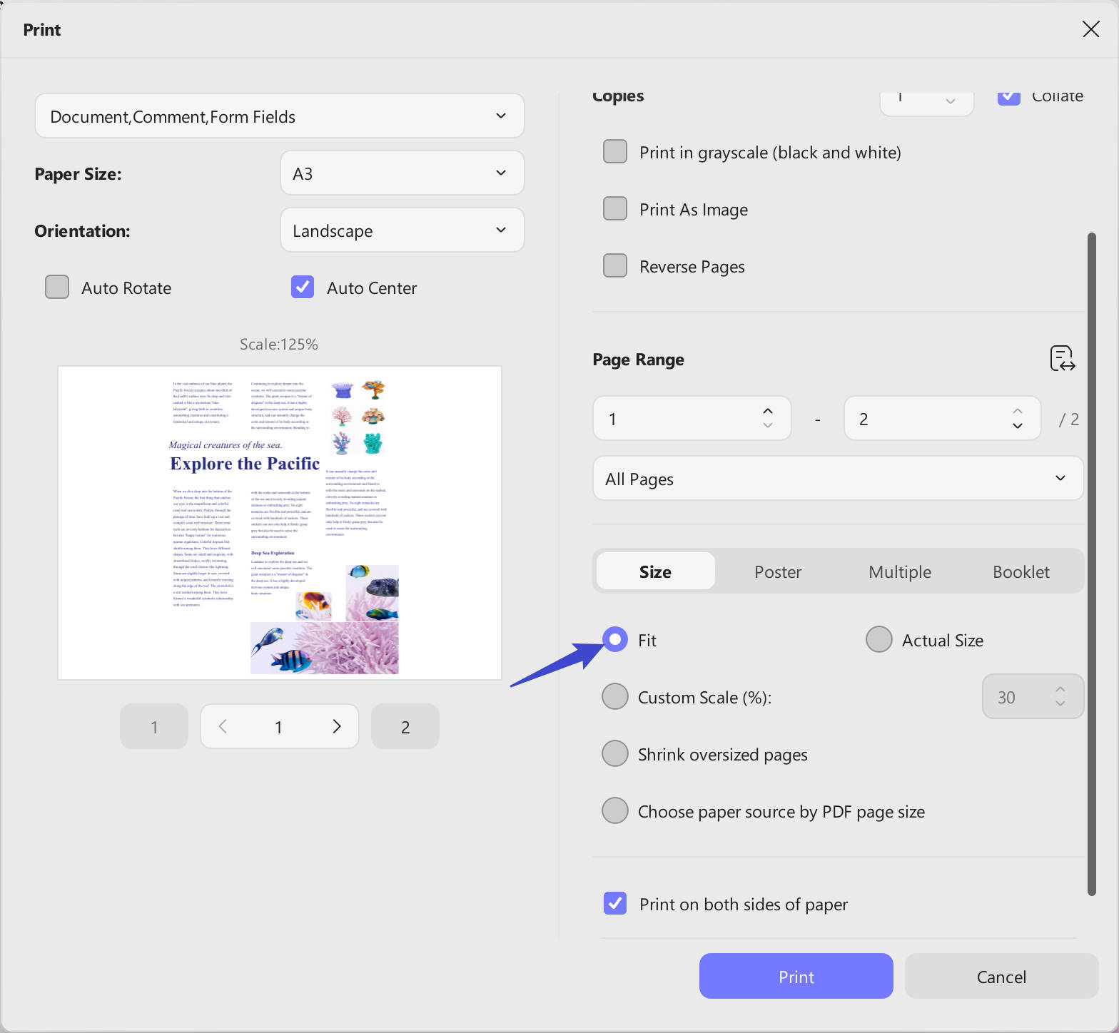 scale pdf page sizing and handling