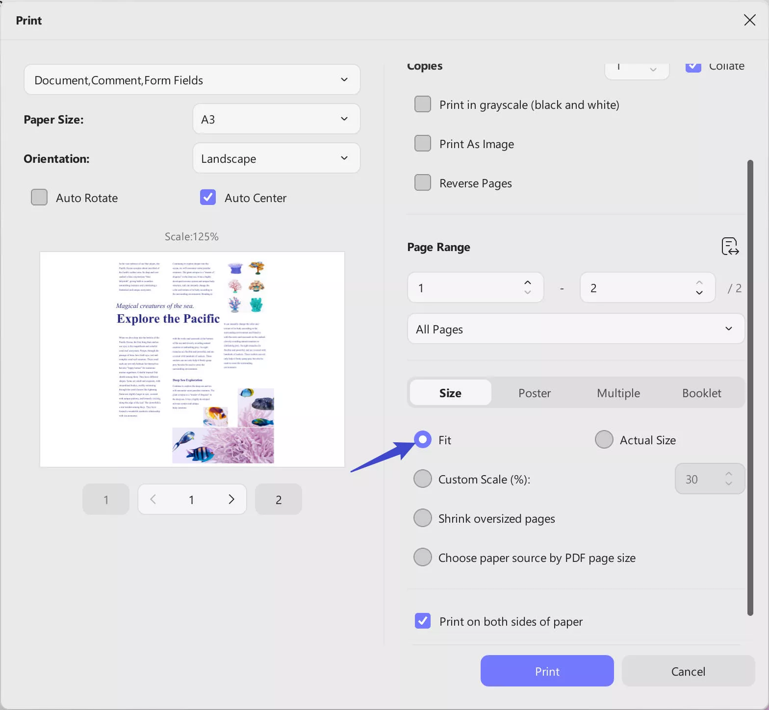 scale pdf page sizing and handling