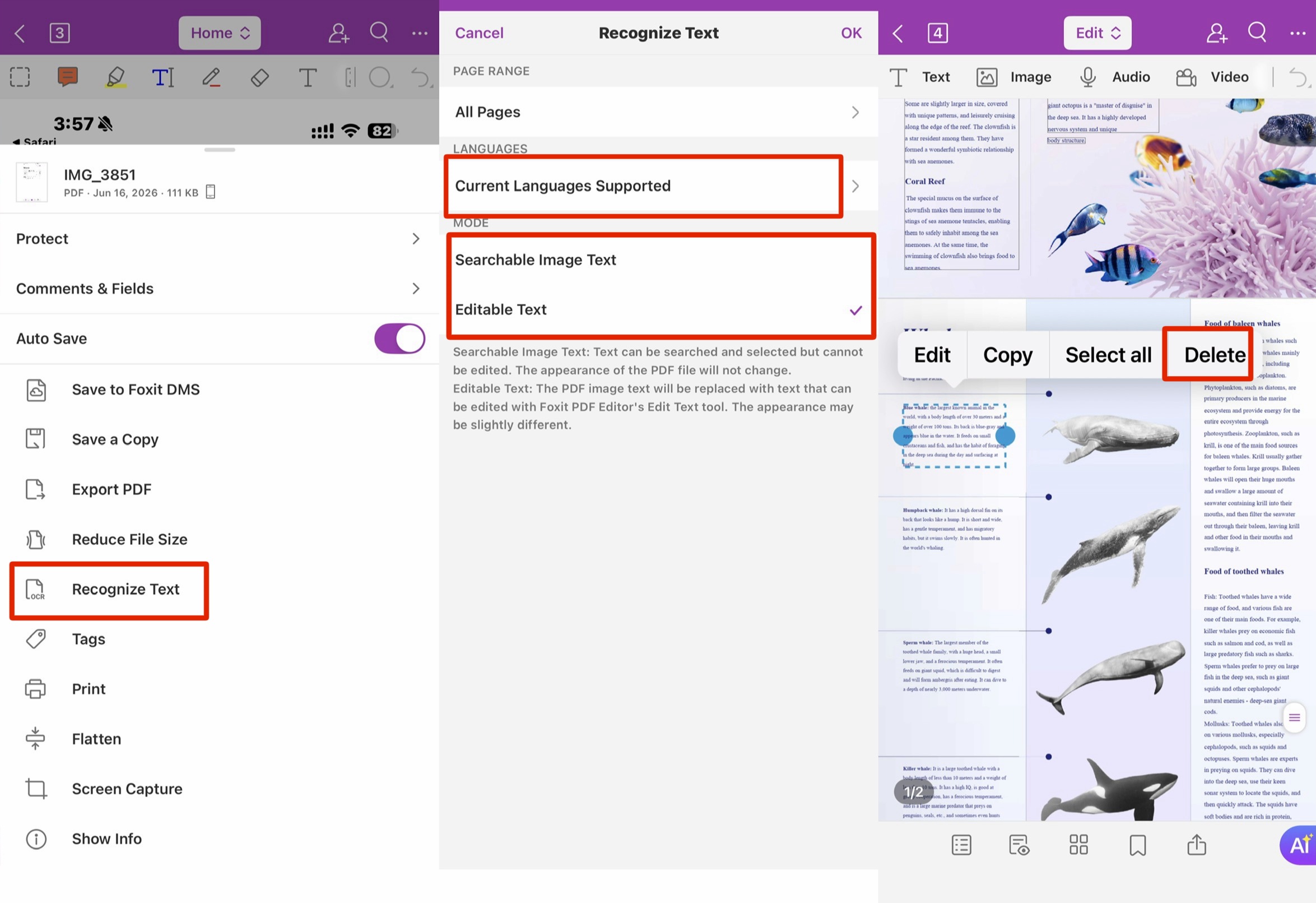 foxit pdf editor recognize and delete text