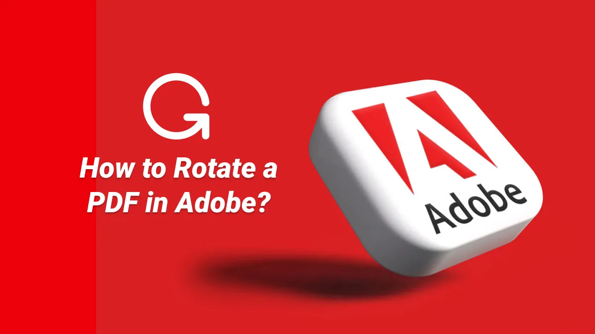 How to Rotate a PDF in Adobe? (Easy and Fast)
