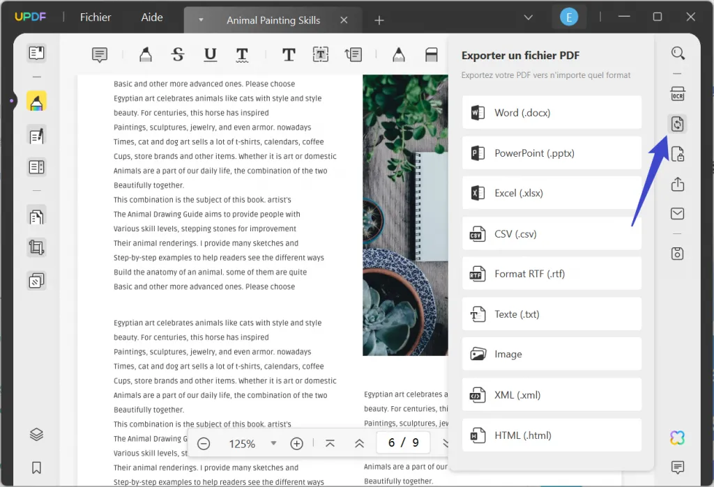 convertir pdf en word