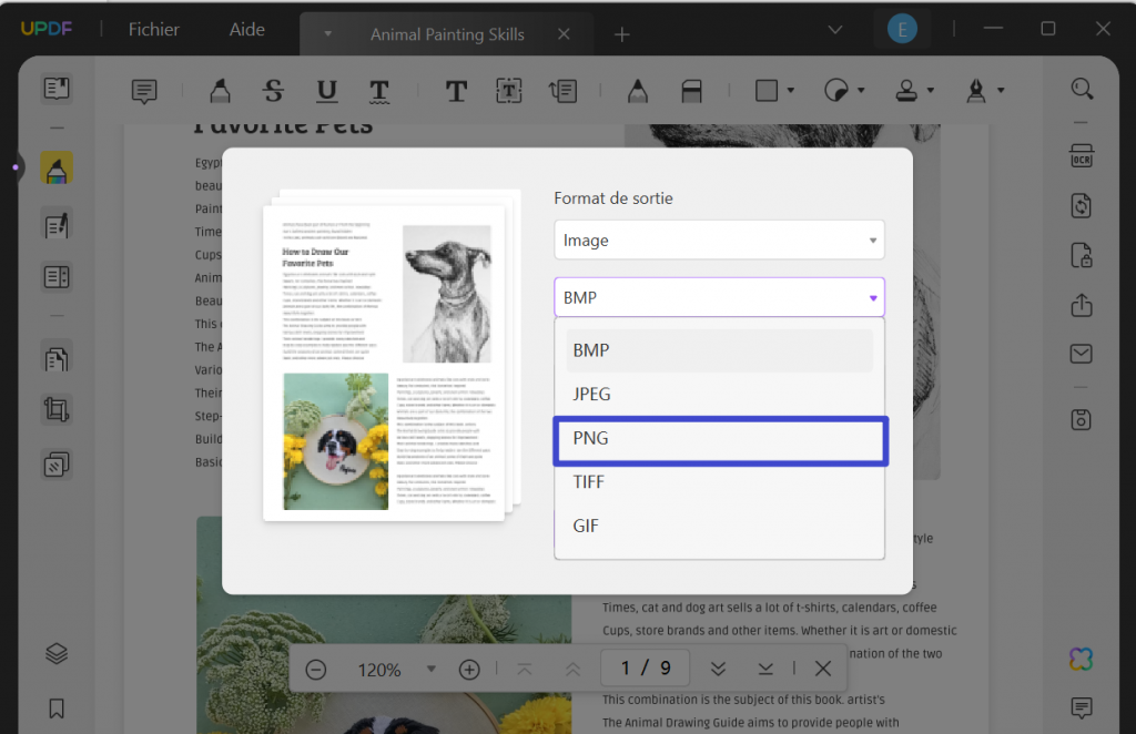 convertir pdf en png