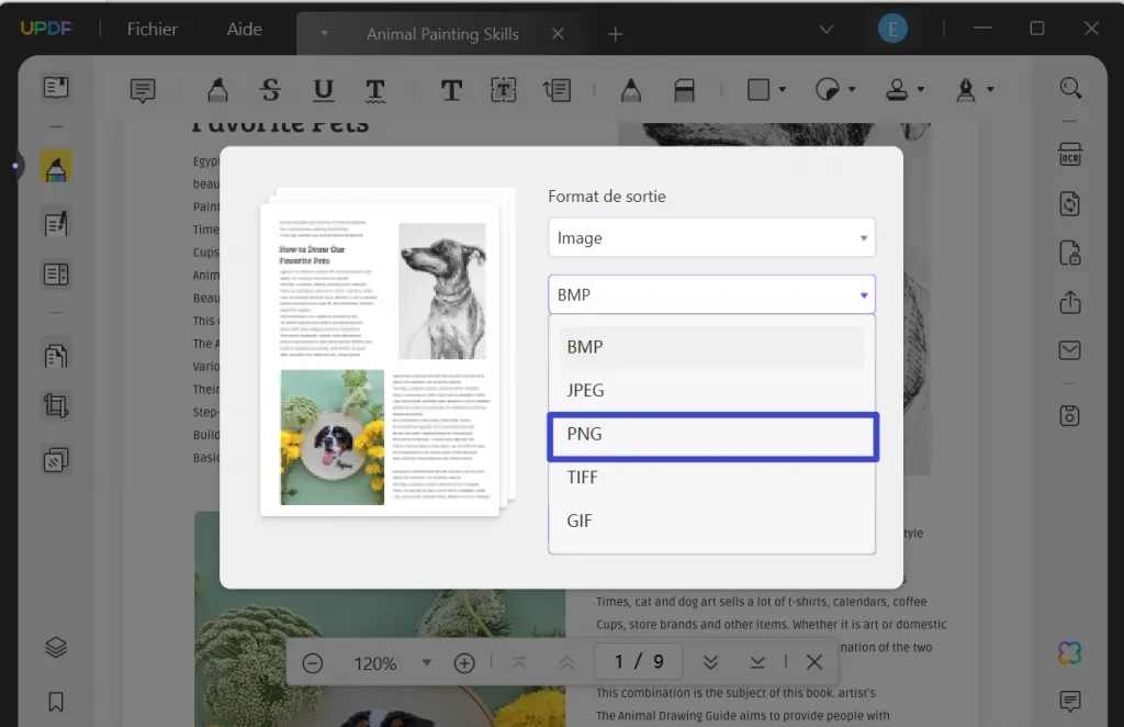 convertir pdf en png