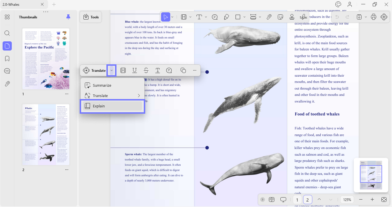 select the text and click explain