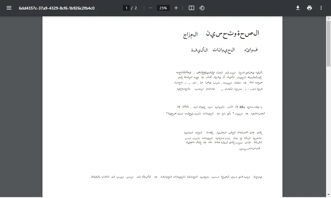 OCR arabisches PDF in Word 2ocr