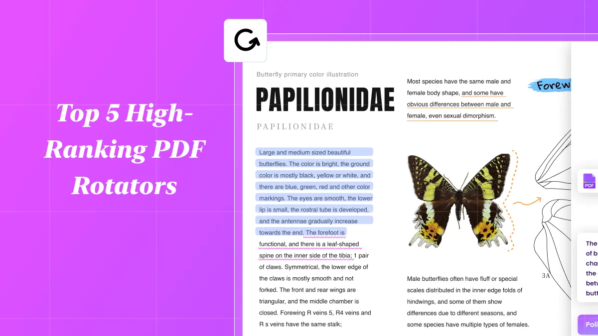 Top 5 High-Ranking PDF Rotators Available in the Market