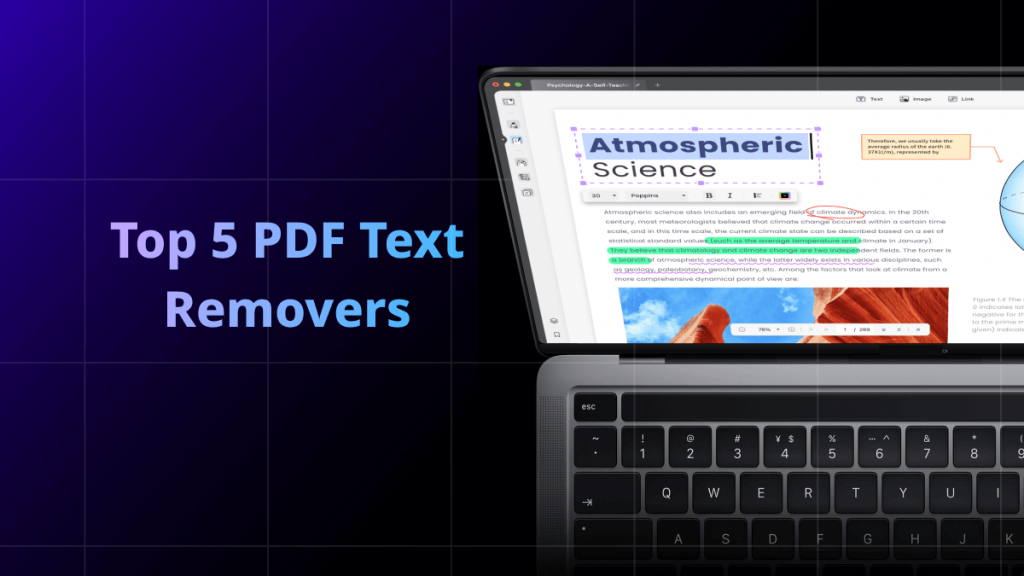 Top 5 PDF Text Removers to Remove Unwanted Content | UPDF