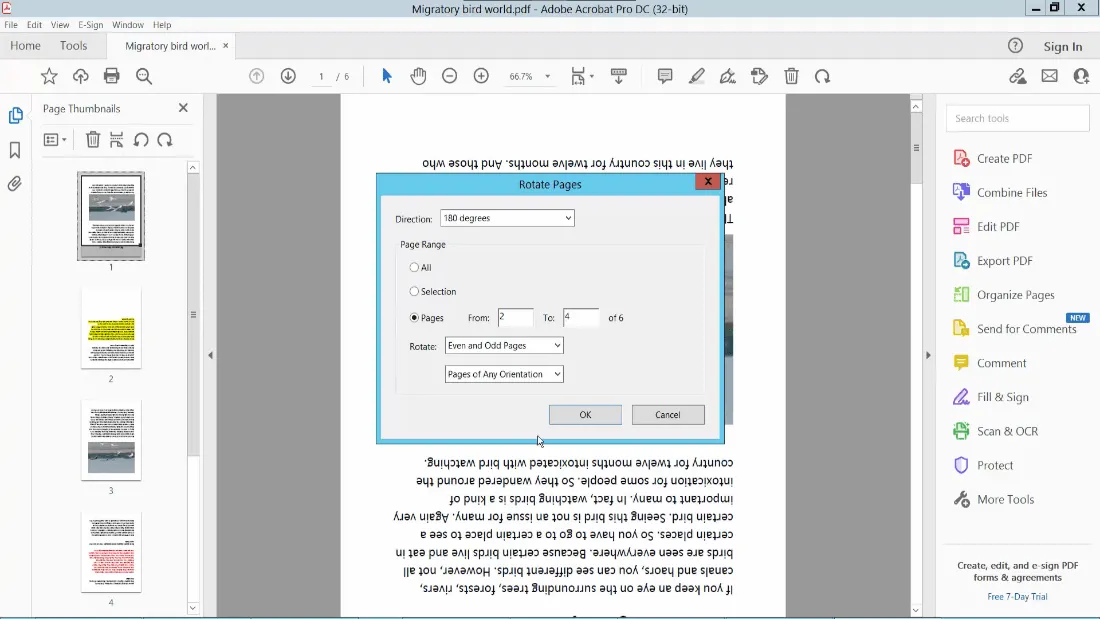 how to rotate a pdf in adobe rotation requirements