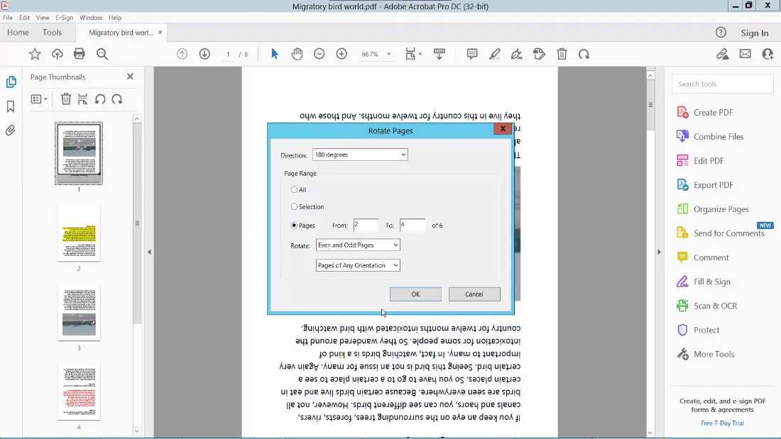 How to Rotate A PDF with or without Adobe