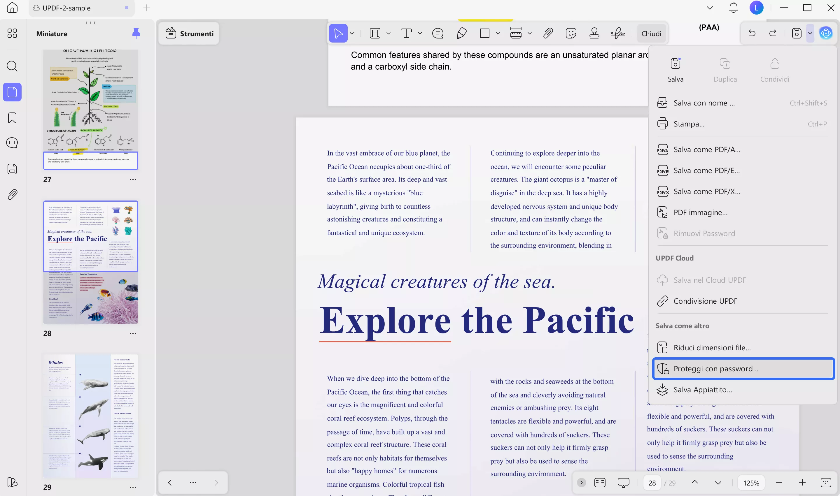 UPDF protect using password