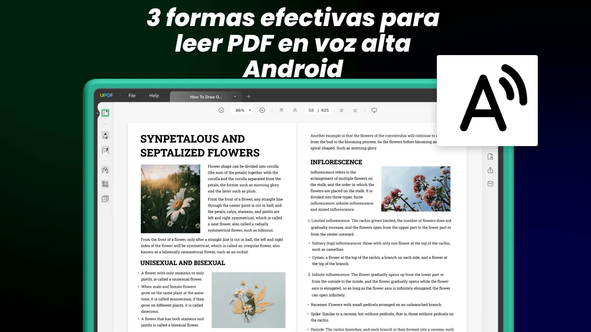 3 formas efectivas para leer PDF en voz alta Android