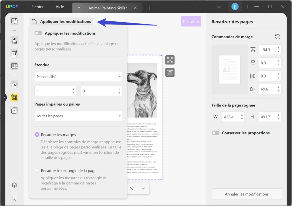 recadrer les pages pdf