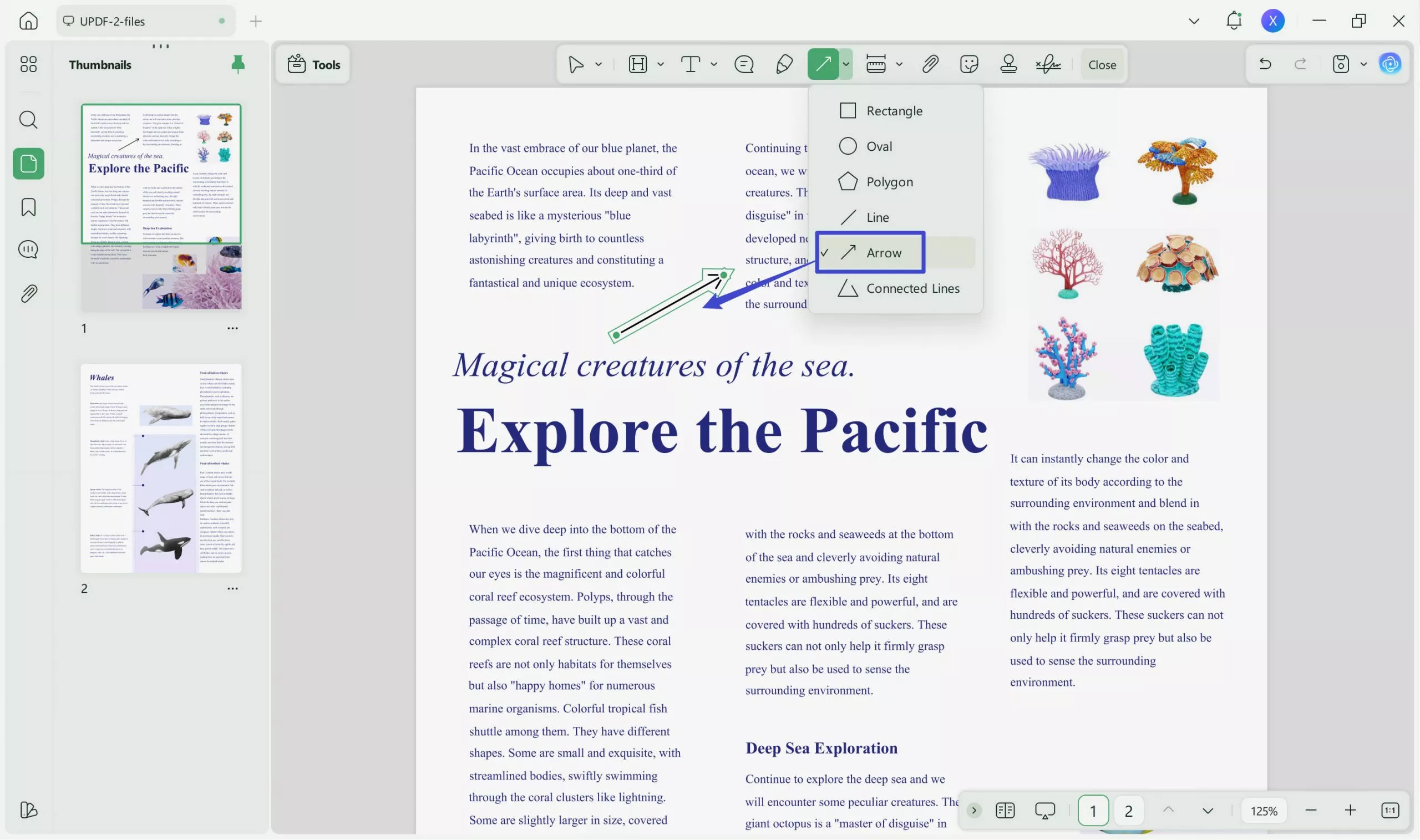 how to add arrow in pdf add arrow