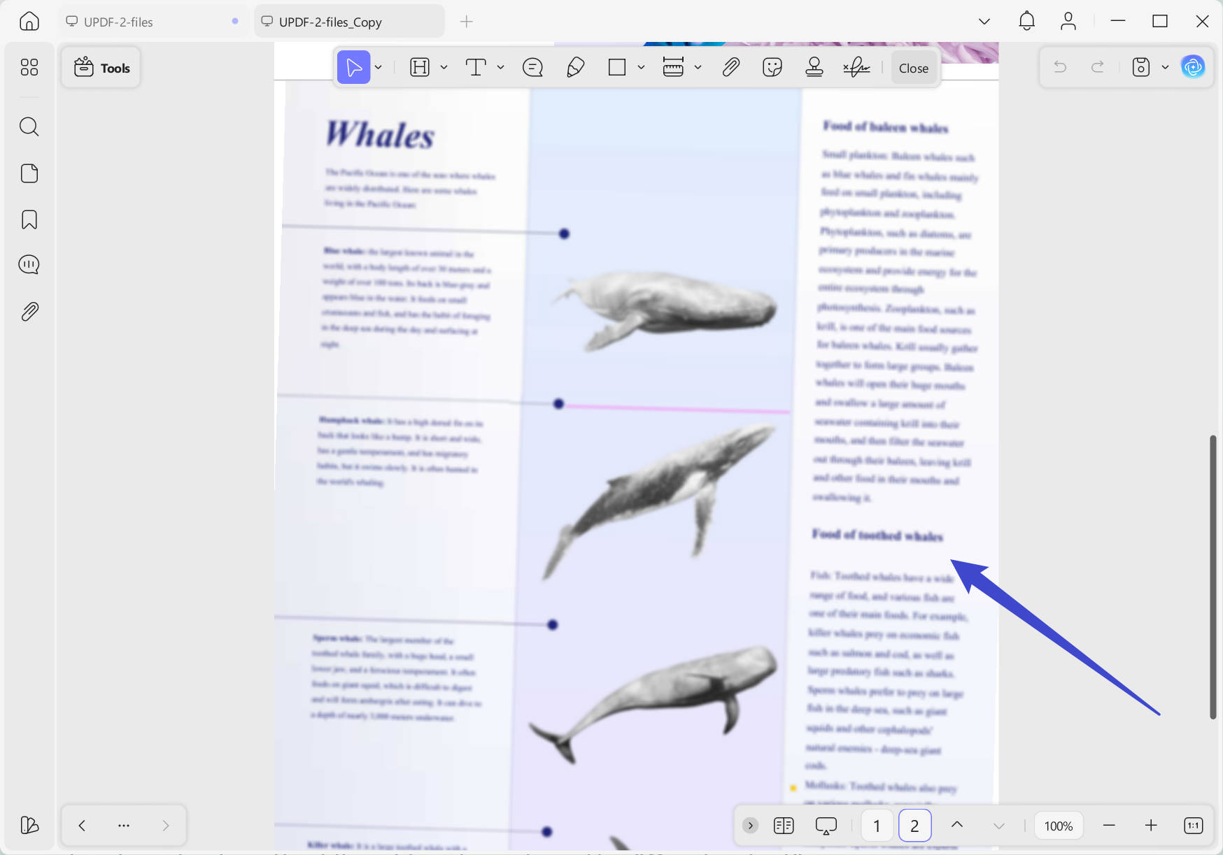 blurred pdf updf windows