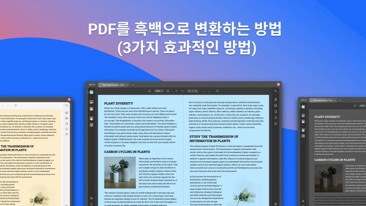 PDF를 흑백으로 변환하는 방법 3가지