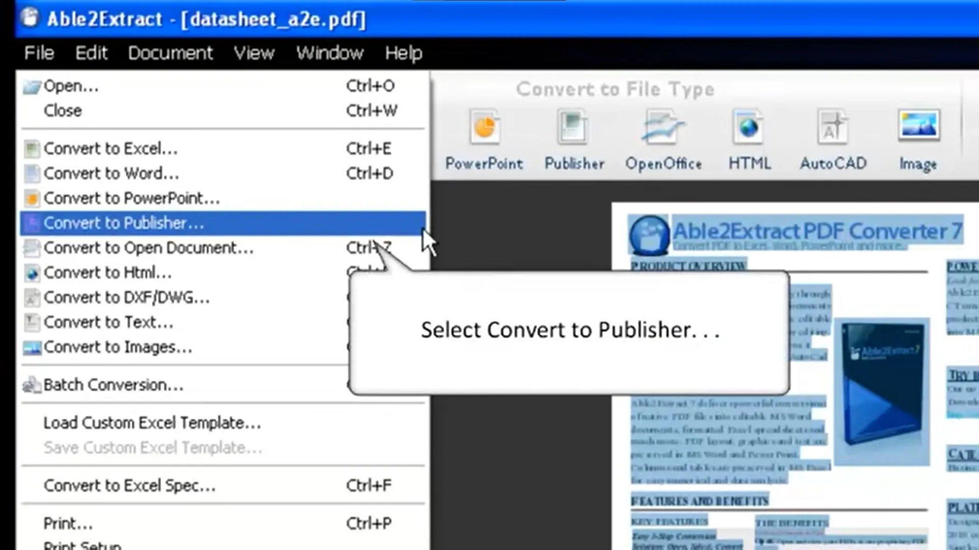 umwandeln in Publisher able2extract