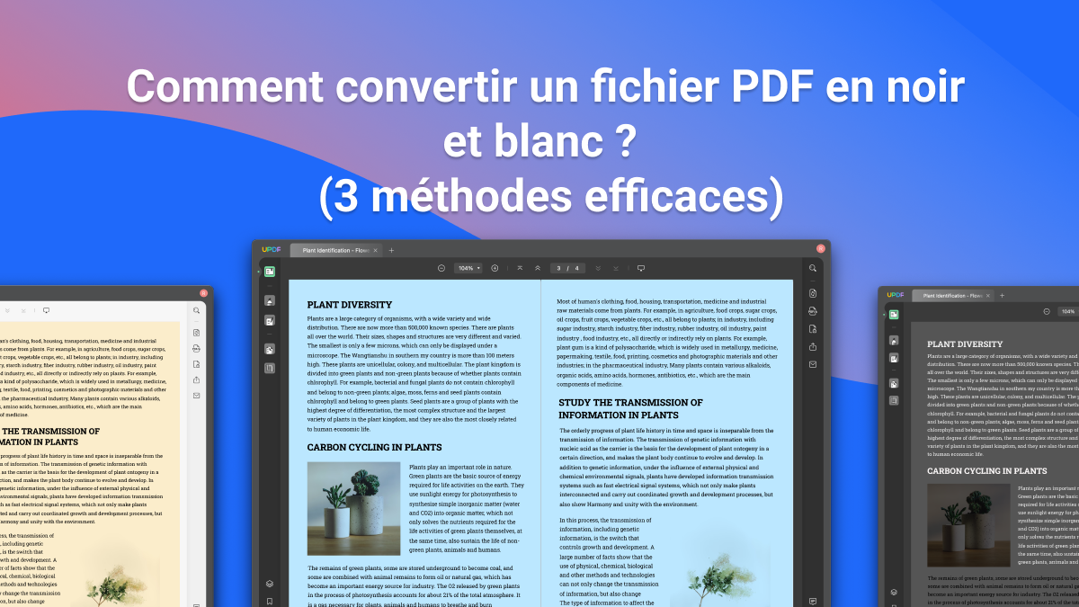 Convertir un PDF en noir et blanc 3 fa ons UPDF