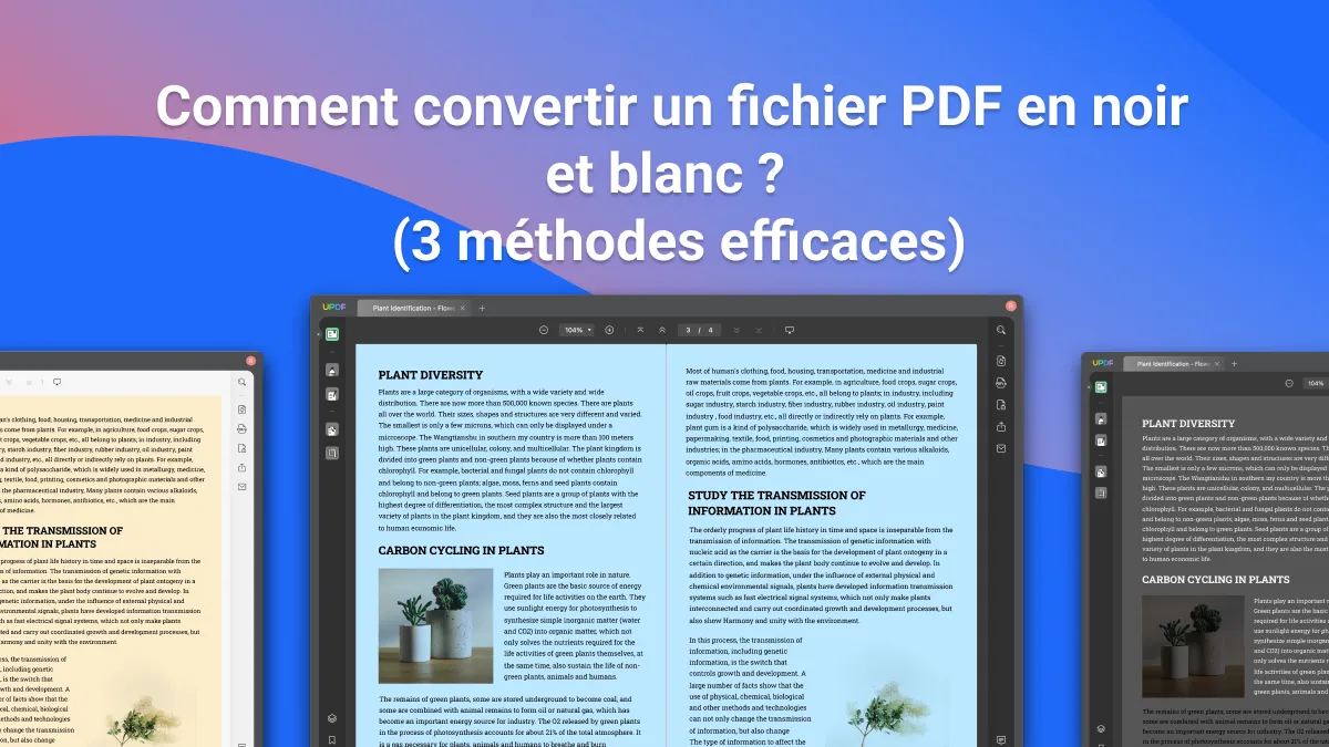 Comment convertir un PDF en noir et blanc (3 méthodes efficaces)