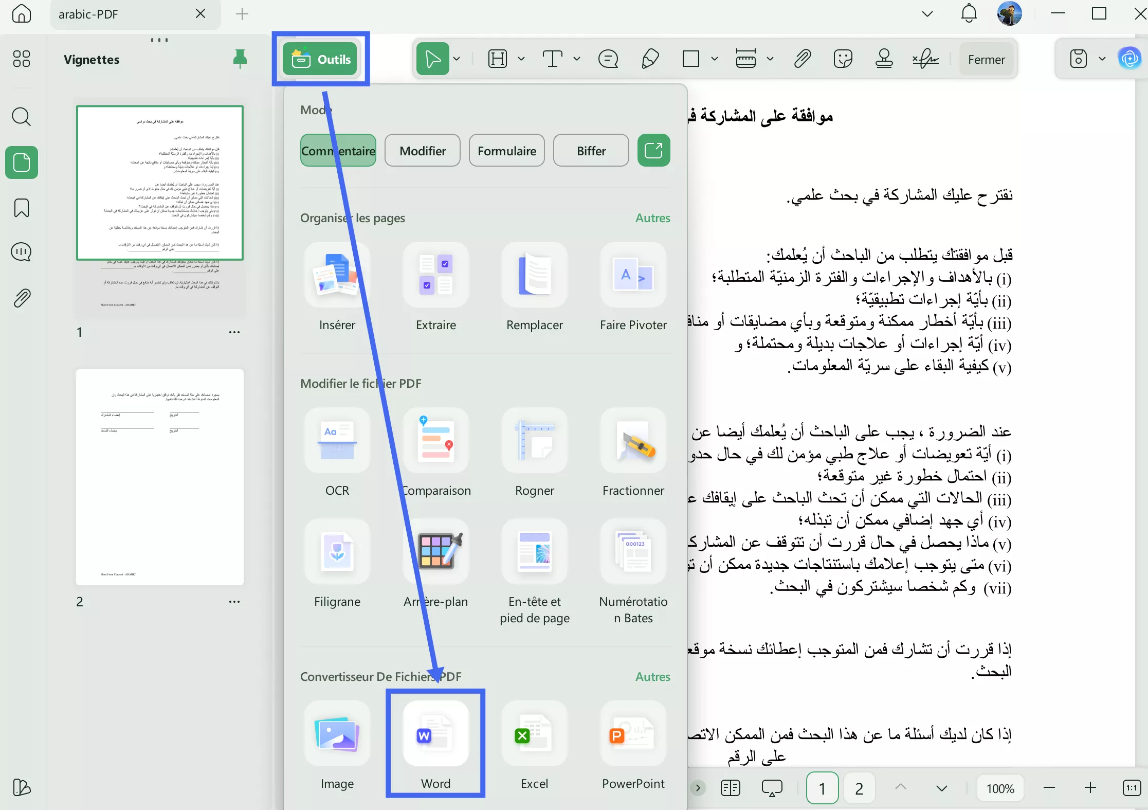 convertir pdf en word